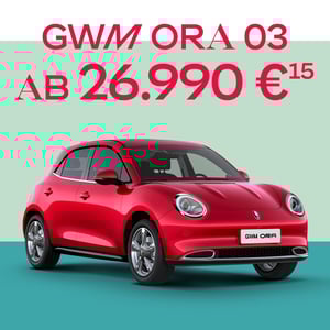 GWM ORA 03 zum Aktions-Preis