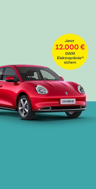 GWM ORA 03 zum Aktions-Preis