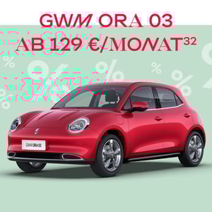 Super Leasing Angebot. Junge Gebrauchte GWM ORA 03